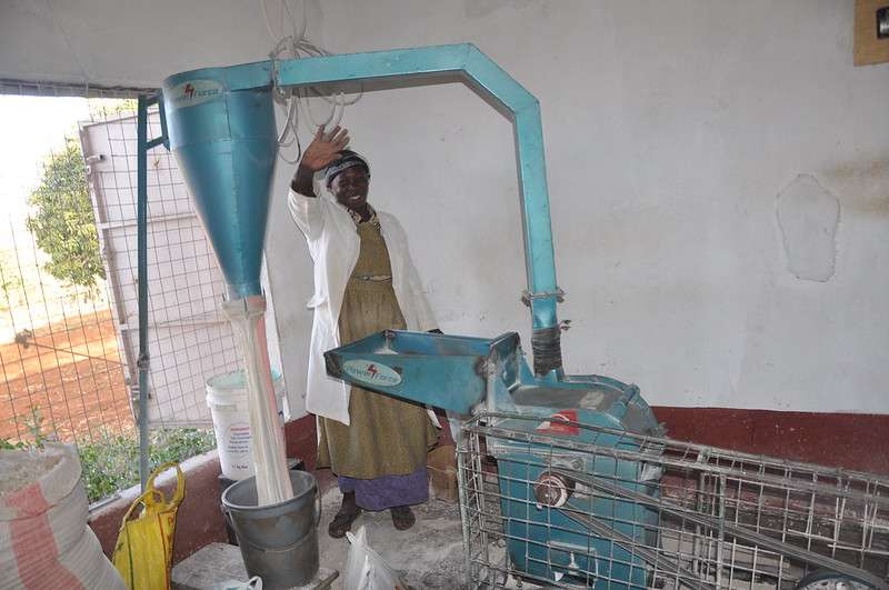 How to Start Maize Milling Business in Kenya Nexin Startups