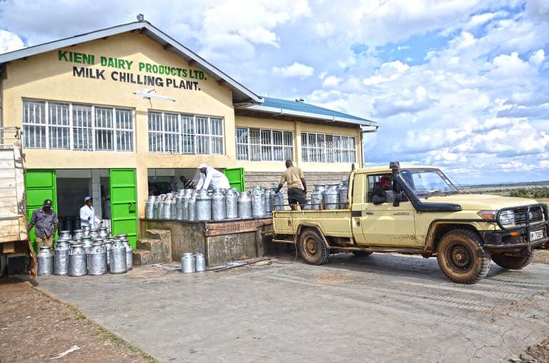 How to Start Milk Distribution Business in Kenya Nexin Startups